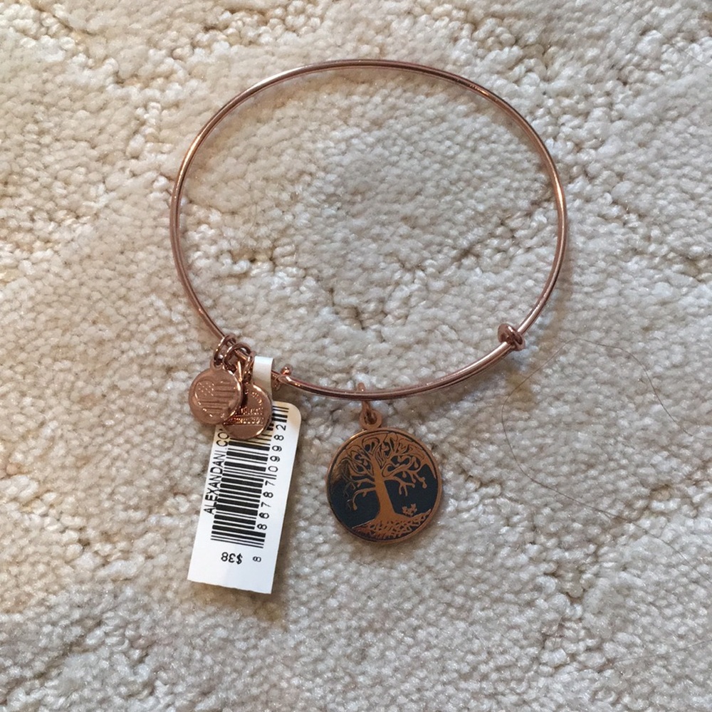 NWT Rare Alex and Ani